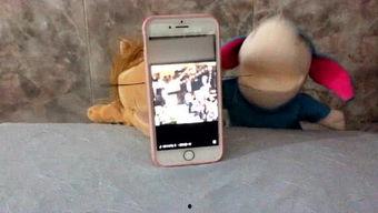 吃瓜娱乐机,带你领略趣味互动新体验